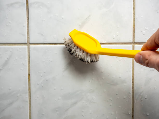 Best Mold Remediation Experts  in Nyssa, OR
