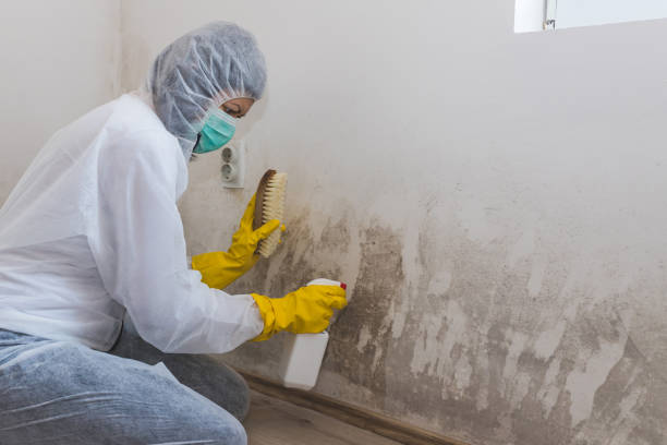 Best Mold Testing  in Nyssa, OR