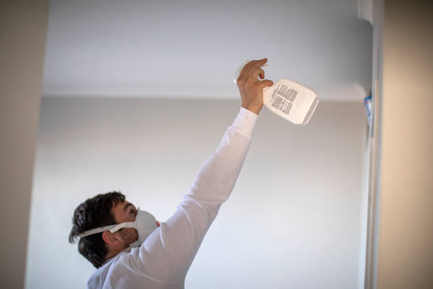Best Fast Mold Removal  in Nyssa, OR