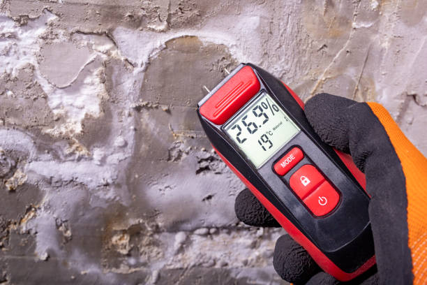 Best Home Mold Removal  in Nyssa, OR