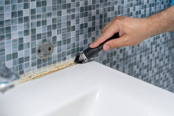 Best Residential Mold Removal  in Nyssa, OR