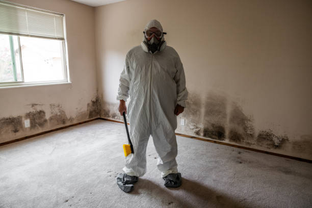 Best Mold Cleaning Services  in Nyssa, OR